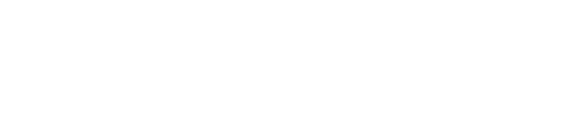 nvb logo